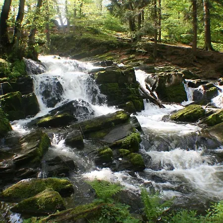 Historischer Kornspeicher Mit Pool Am Selketal, Natururlaub Im Harz Apartamento *