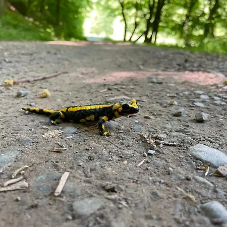 דירה Wohnen Im Alten Kornspeicher