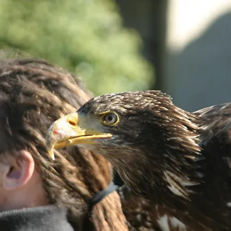 Wohnen Im Alten Kornspeicher דירה *