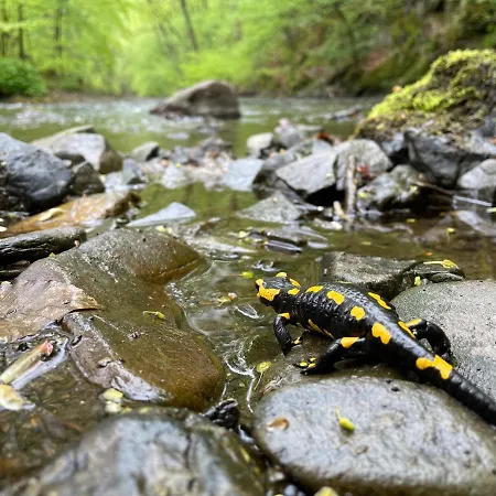 דירה Wohnen Im Alten Kornspeicher