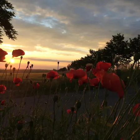 דירה Wohnen Im Alten Kornspeicher