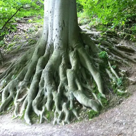 Historischer Kornspeicher Mit Pool Am Selketal, Natururlaub Im Harz Ermsleben