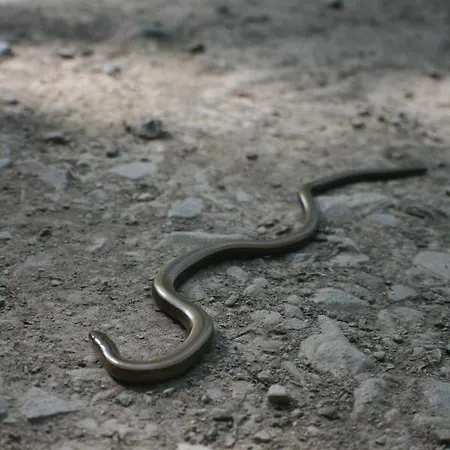 Wohnen Im Alten Kornspeicher Ermsleben