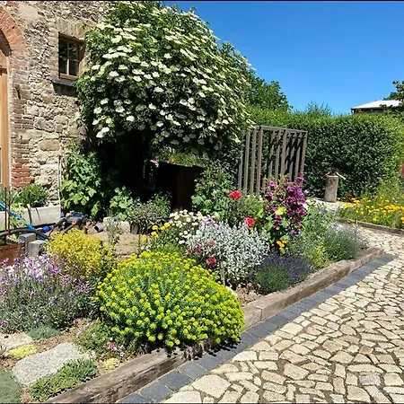 Apartamento Historischer Kornspeicher Mit Pool Am Selketal, Natururlaub Im Harz
