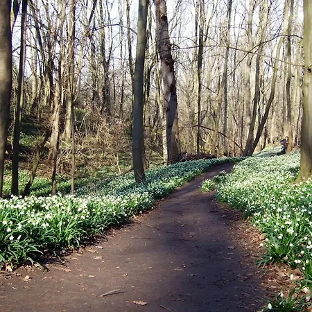 Wohnen Im Alten Kornspeicher *