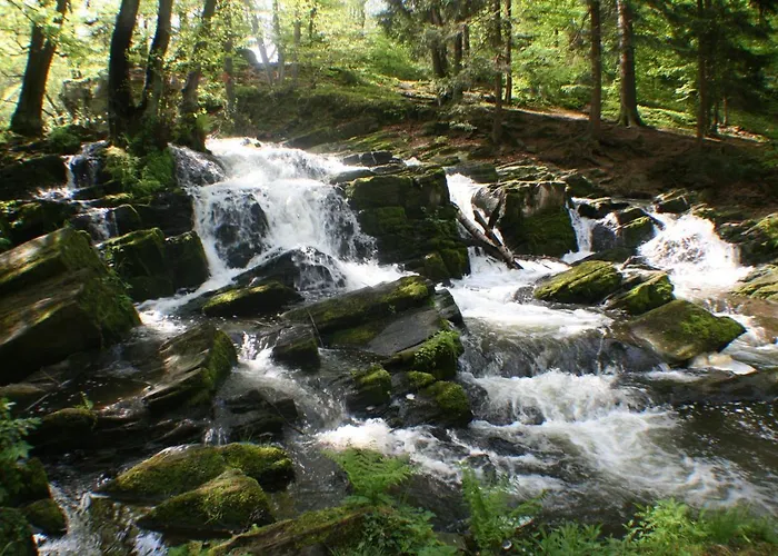 Wohnen Im Alten Kornspeicher Lägenhet *
