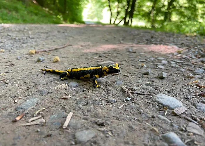 Lägenhet Wohnen Im Alten Kornspeicher