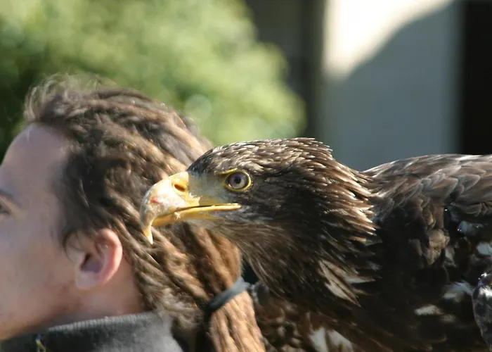 Wohnen Im Alten Kornspeicher Lägenhet *