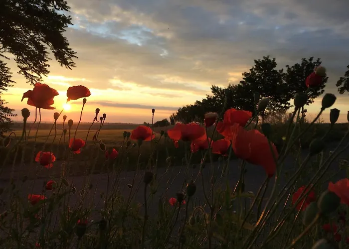 Lägenhet Wohnen Im Alten Kornspeicher