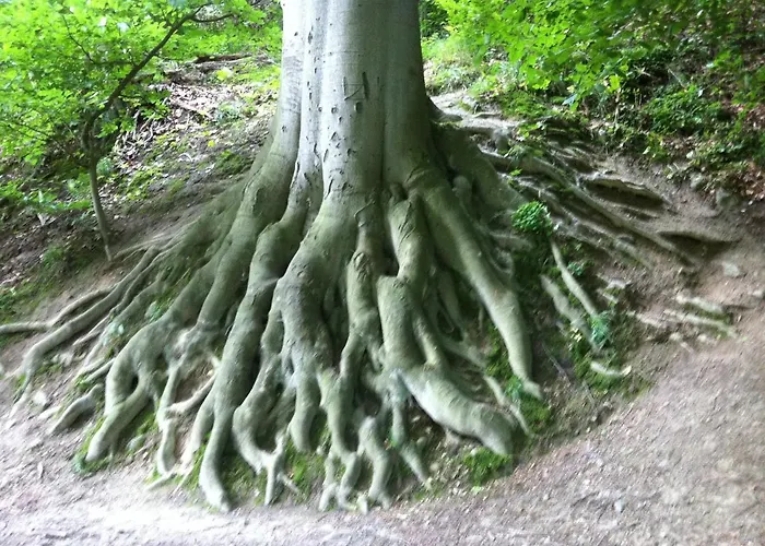 Wohnen Im Alten Kornspeicher Ermsleben