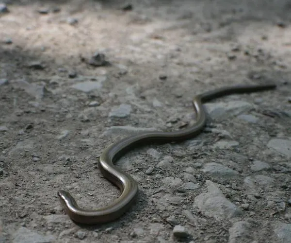 Wohnen Im Alten Kornspeicher Ermsleben