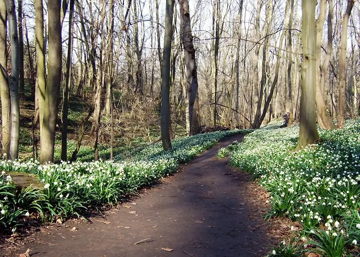 Wohnen Im Alten Kornspeicher *